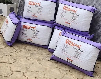 Vita foam pillow